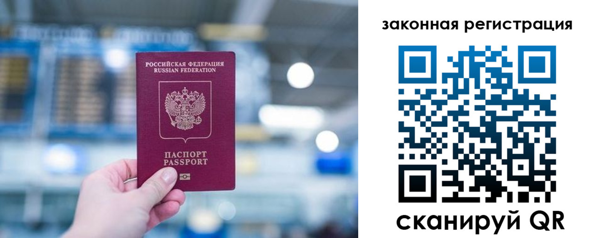 прописка поиск в Ростове